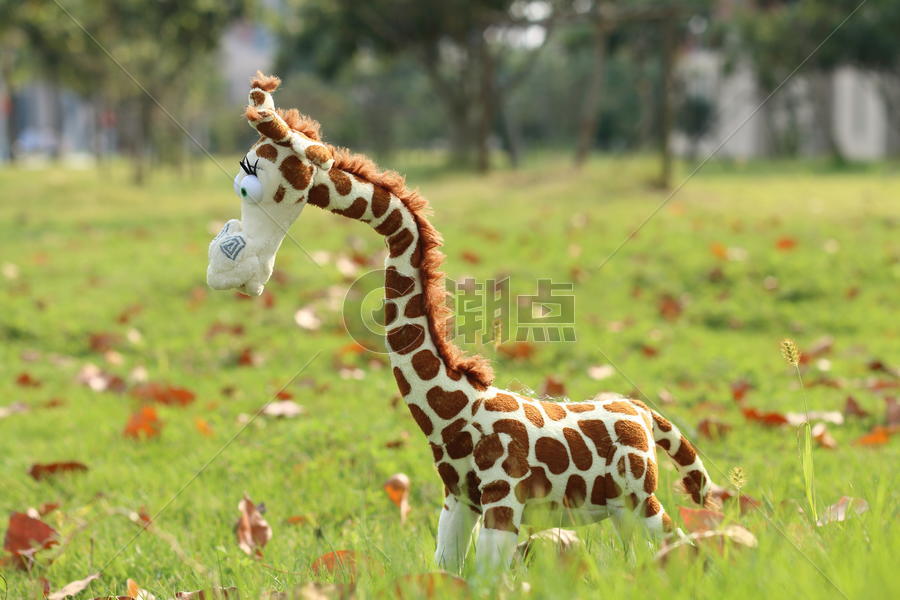 草坪上的长颈鹿玩偶布偶图片素材免费下载