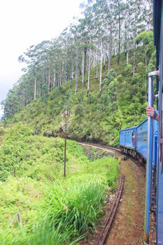 斯里兰卡高山茶园火车图片素材免费下载