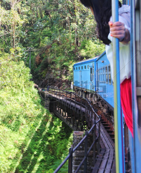 斯里兰卡高山茶园火车图片素材免费下载