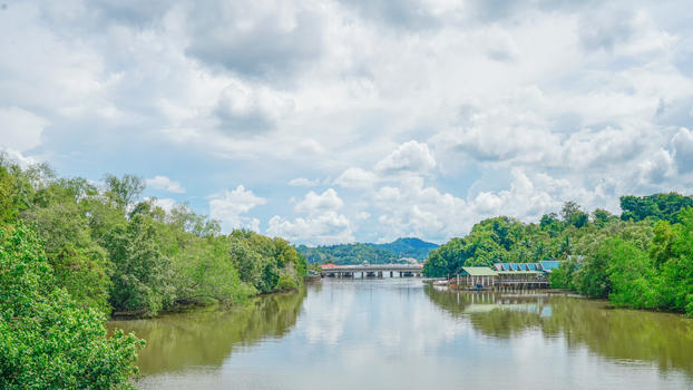 文莱热带雨林图片素材免费下载
