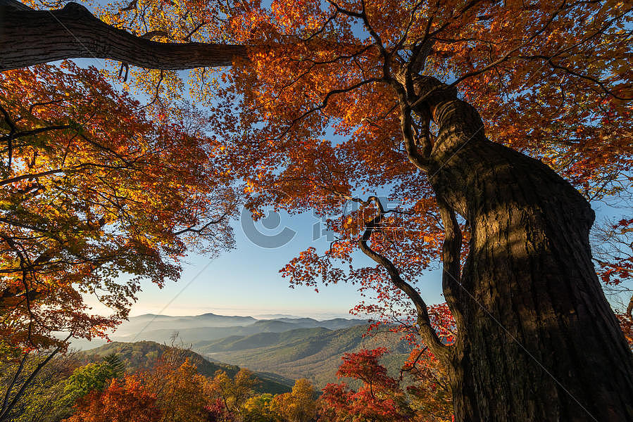 秋天的风景图片素材免费下载