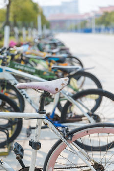 停放在校园内的自行车图片素材免费下载