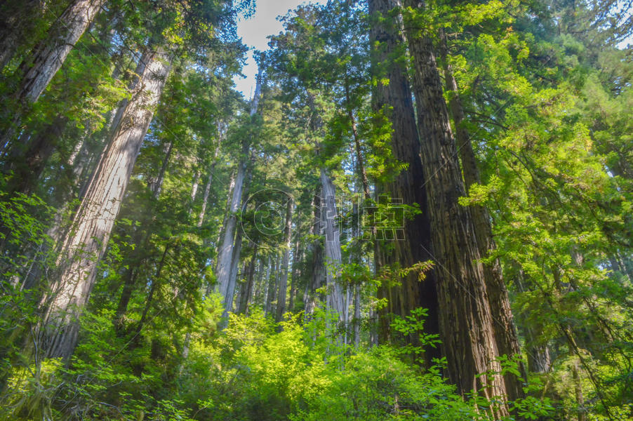 美国红树林国家公园图片素材免费下载