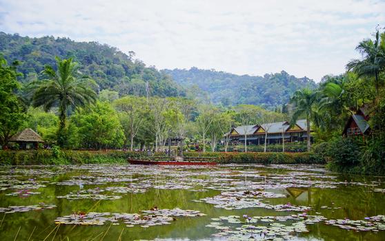 西双版纳傣族公园图片素材免费下载