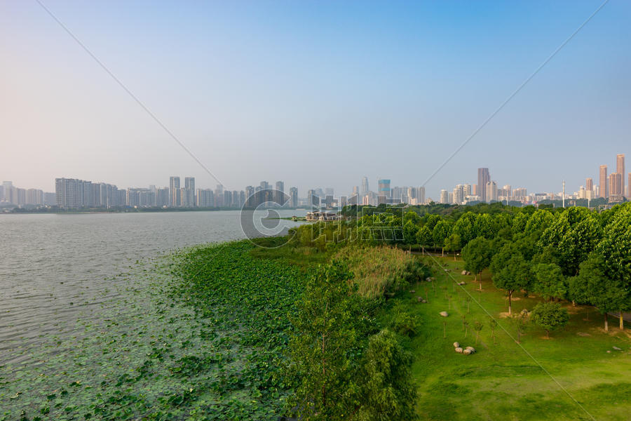 武汉沙湖自然生态风光图片素材免费下载