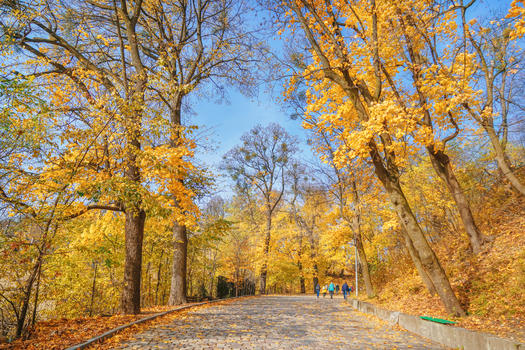 乌克兰利沃夫的秋图片素材免费下载