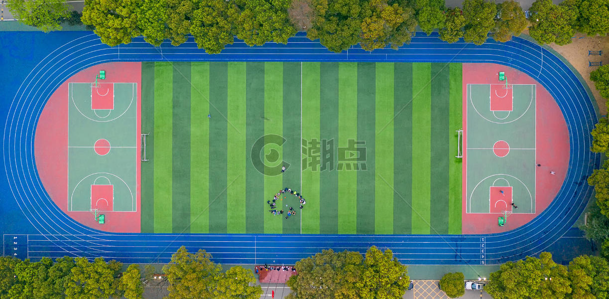 公园绿树环绕的标准足球场运动场图片素材免费下载
