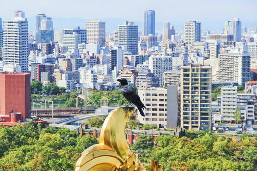 日本大阪城市高楼图片素材免费下载
