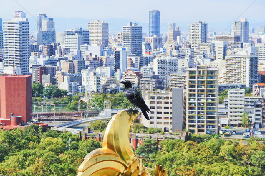 日本大阪城市高楼图片素材免费下载