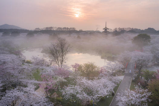 武汉东湖磨山樱园图片素材免费下载