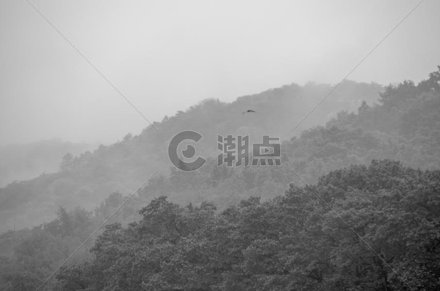 杭州西湖保椒山图片素材免费下载