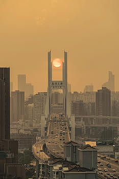 南浦大桥旋日图片素材免费下载