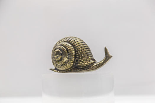 大连贝壳博物馆金属蜗牛装饰品（该图片未获得物权，不建议商用）图片素材免费下载