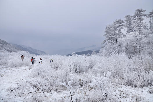秦岭山冬天雾凇图片素材免费下载
