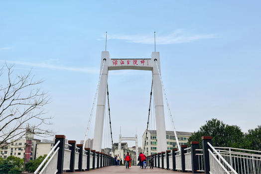 渌江书院桥行走的人群图片素材免费下载