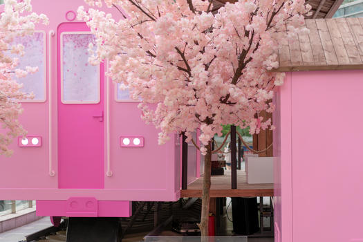 商业中心樱花季粉色车站图片素材免费下载