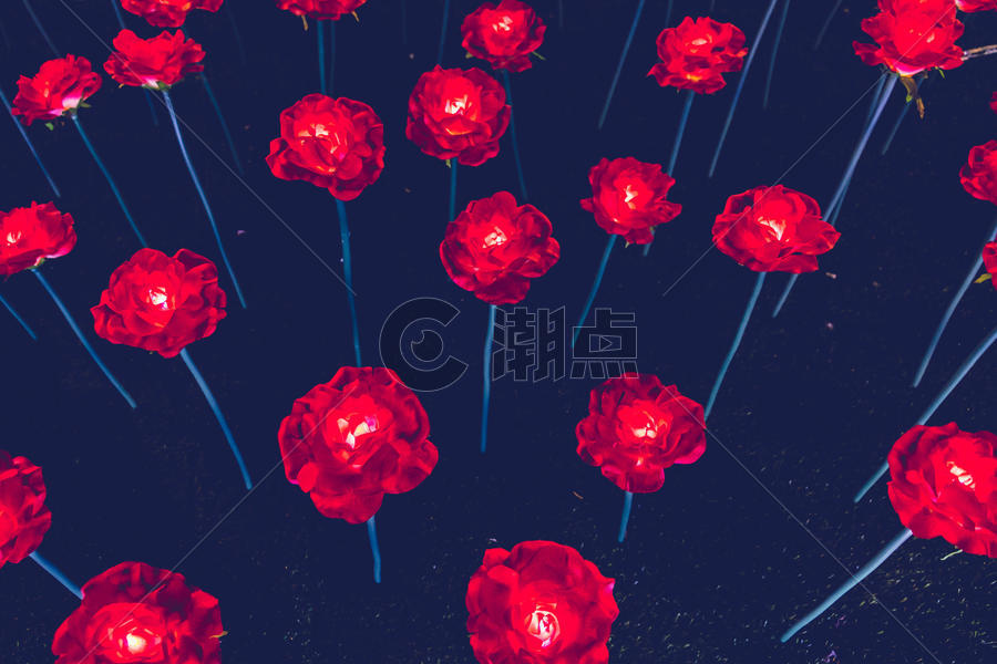 发光的玫瑰花图片素材免费下载