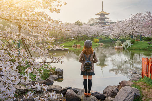 清晨欣赏樱花园美丽风景的女生图片素材免费下载