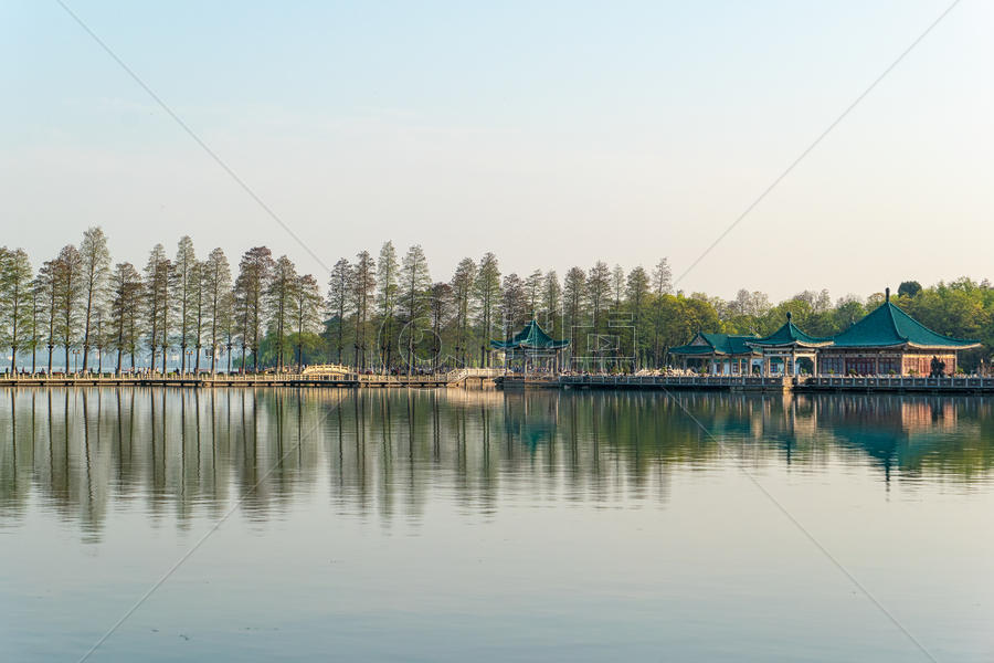 武汉东湖湖景林荫小道图片素材免费下载