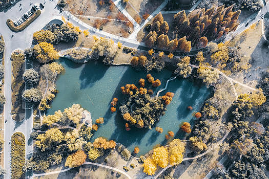 航拍秋天的公园图片素材免费下载