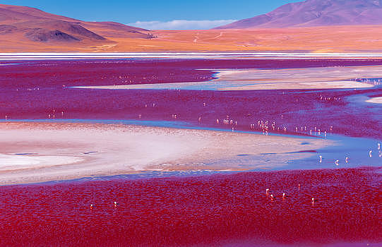 玻利维亚乌尤尼红湖景色图片素材免费下载