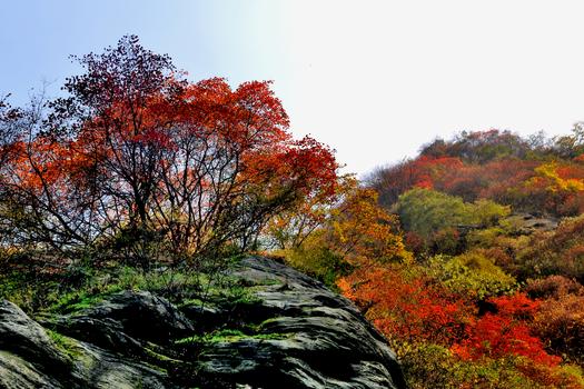 金龙峡秋景风光图片素材免费下载