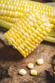 新鲜黄玉米图片素材免费下载