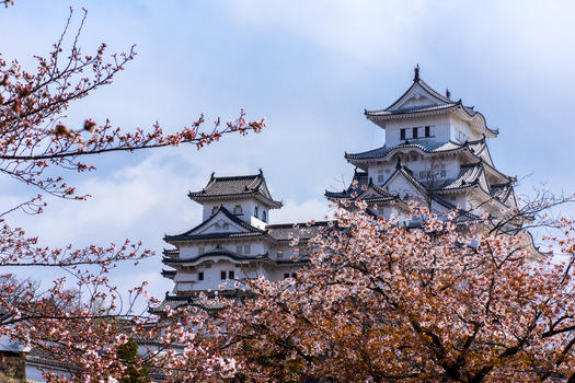 日本姬路城樱花图片素材免费下载