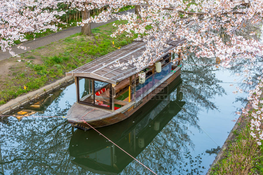日本京都十石舟舫樱花图片素材免费下载