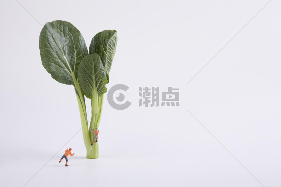 蔬菜创意小人图片素材免费下载