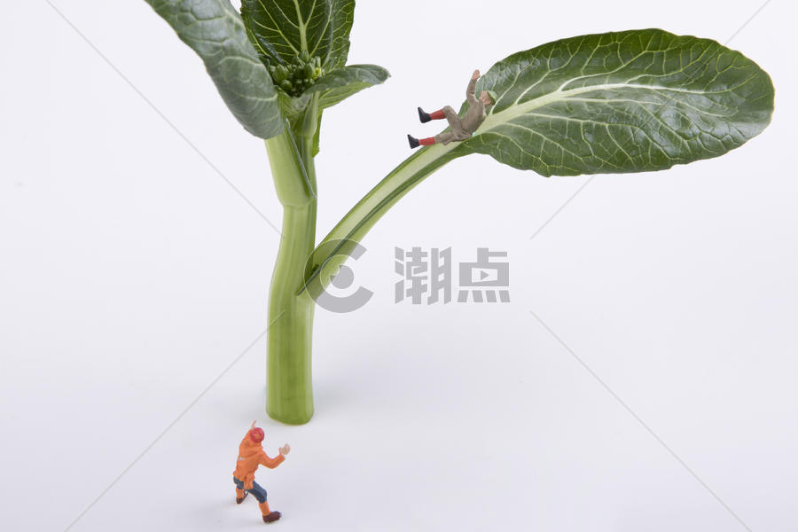 蔬菜创意小人图片素材免费下载