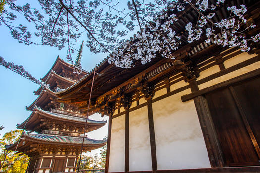 日本奈良兴福寺图片素材免费下载
