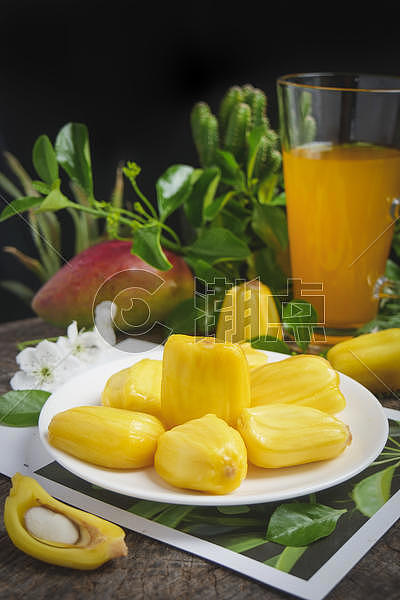 海南菠萝蜜图片素材免费下载