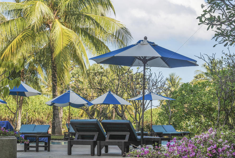 度假酒店的躺椅和遮阳伞图片素材免费下载