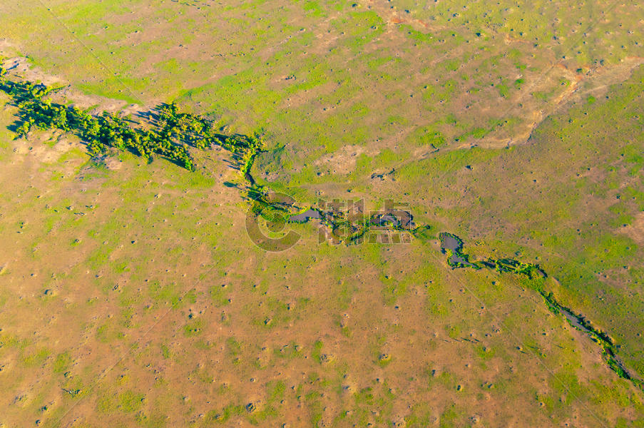 俯瞰东非稀树草原图片素材免费下载