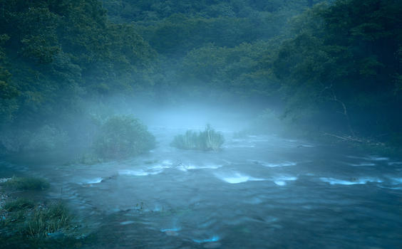 溪流晨雾图片素材免费下载