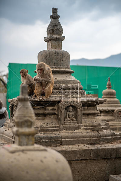 尼泊尔加德满都寺庙图片素材免费下载