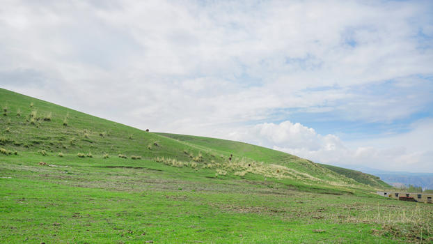 新疆伊犁高山草甸草原图片素材免费下载