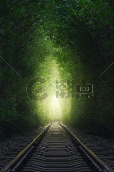爱情森林隧道图片素材免费下载