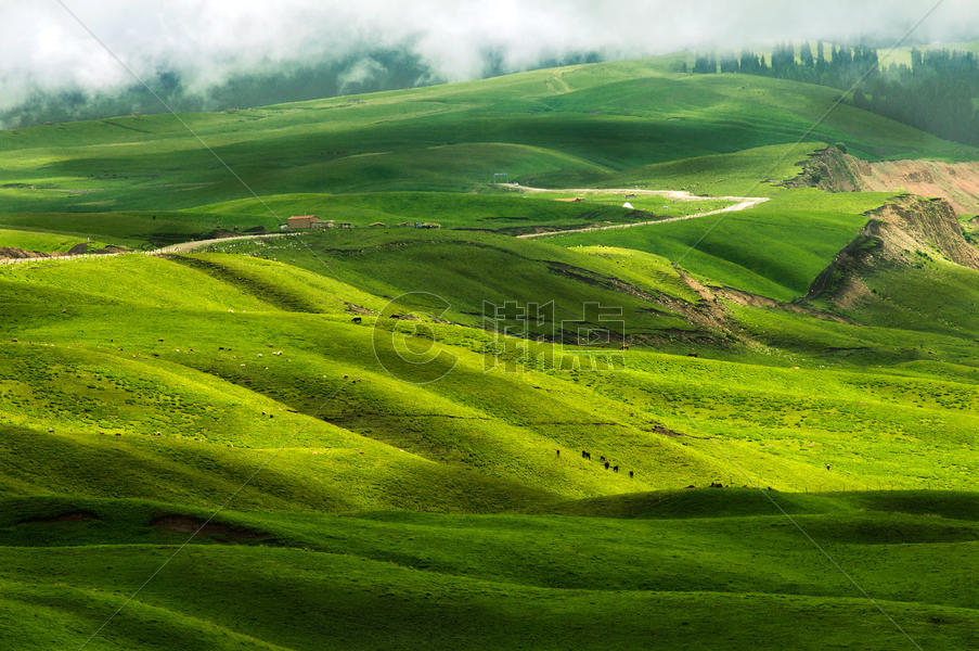新疆天山草场风光图片素材免费下载