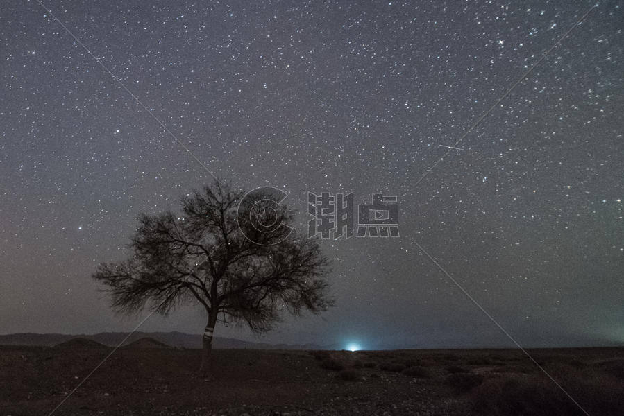 星空树木风景夜景图片素材免费下载