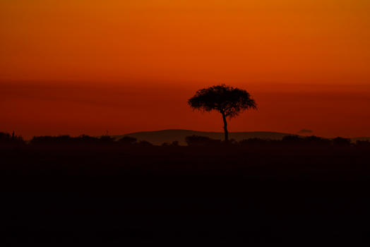 东非日出时的景象图片素材免费下载