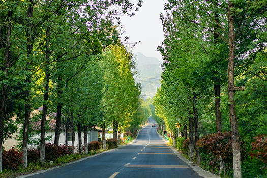 安徽皖南318旅行自驾公路图片素材免费下载