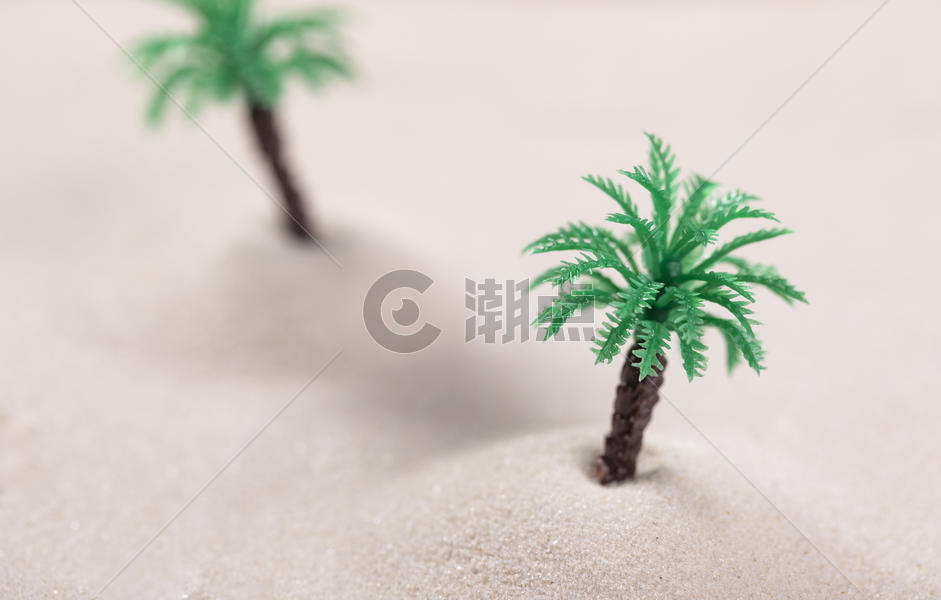 创意沙滩微距图片素材免费下载