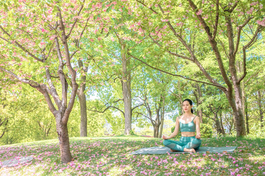 女性公园户外瑜伽图片素材免费下载