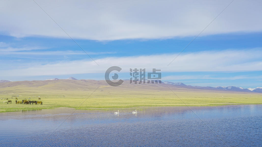 新疆巴音布鲁克草原图片素材免费下载