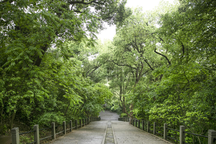 森林公园楼梯图片素材免费下载