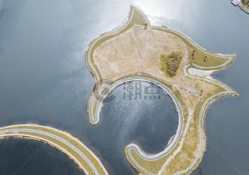 湖滨绿地海豚形状图片素材免费下载