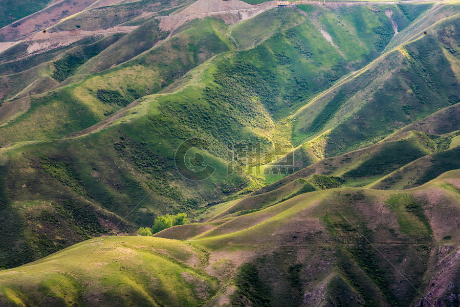 新疆天山牧场草原草场牧区牧业线条素材背景图片素材免费下载