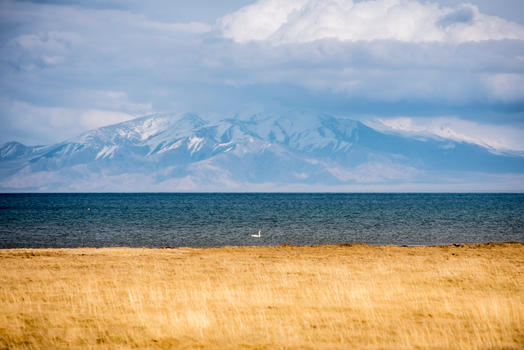 新疆赛里木湖雪山草原风光图片素材免费下载